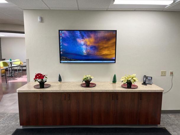 Wall-mounted television above a wooden credenza decorated with holiday potted plants
